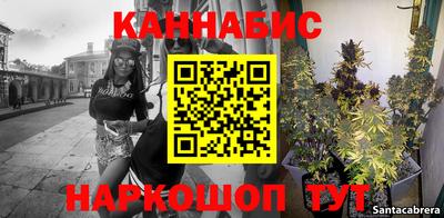 стаф Гагарин