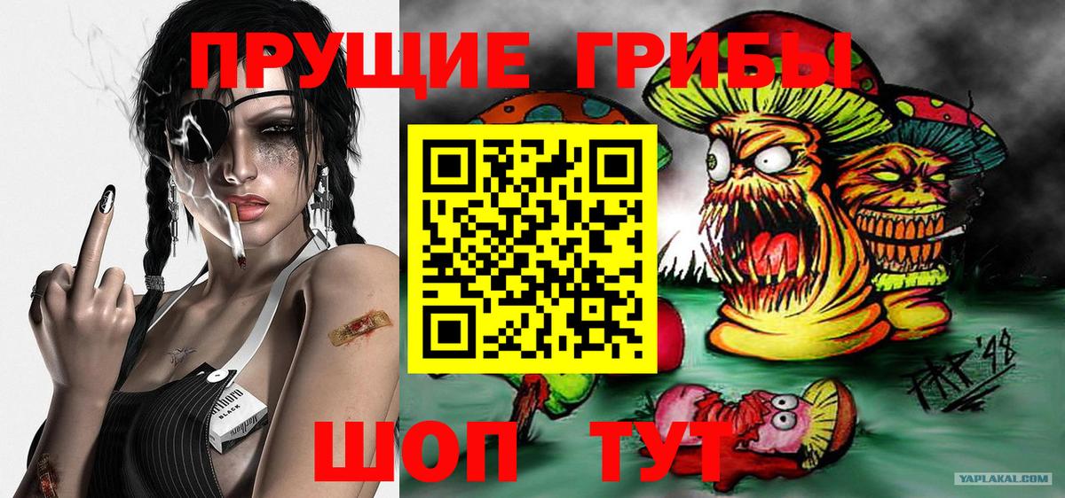 Псилоцибиновые грибы мицелий Новочебоксарск