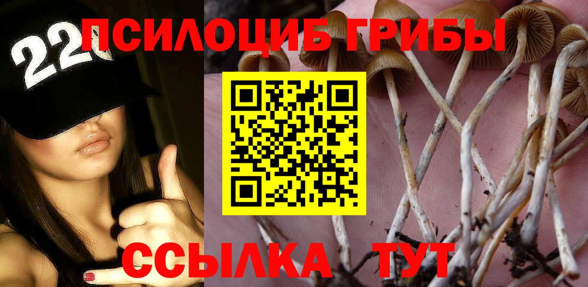 Псилоцибиновые грибы прущие грибы  Псилоцибиновые грибы мухоморы  Вход с VPN  что такое наркотик  Новочебоксарск 